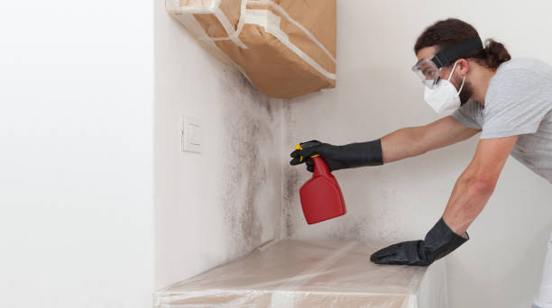 Professional Mold Inspection And Testing technician working in Brookline, MA